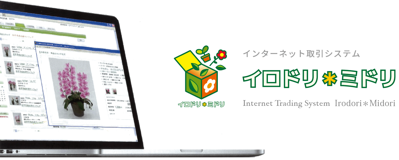 インターネット取引システム　イロドリ＊ミドリ