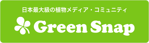 GreenSnap